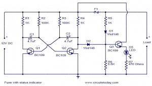 Fuse with status indicator.